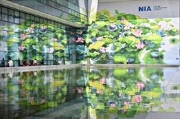 Sân bay Quốc tế Nội Bài lung linh đầm sen tuyệt đẹp