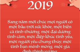 Thiệp Xuân đẹp, độc, lạ dành tặng bạn đọc nhân dịp Tết Nguyên đán Kỷ Hợi