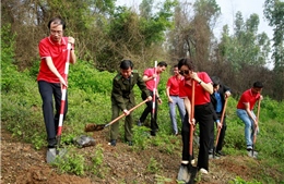SeABank trao tặng 74.400 cây xanh hồi sinh núi Hồng Lĩnh- Hà Tĩnh