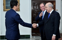 Tổng thống Algeria đánh giá cao thành tựu phát triển kinh tế của Việt Nam 