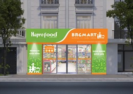 Tập đoàn BRG mở thêm 10 cửa hàng Hapro Food phục vu nhân dân Thủ đô