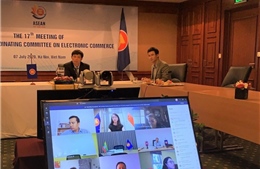 Hội nghị Ủy ban Điều phối Thương mại điện tử ASEAN
