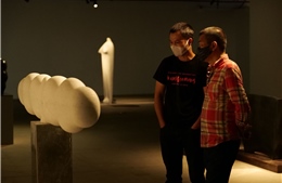 VCCA mở cửa triển lãm điêu khắc đá &#39;Biến chuyển | Transforming&#39;