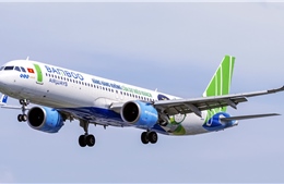 Bamboo Airways sẵn sàng đồng hành cùng Bắc Giang đưa vải thiều tới Hoa Kỳ