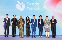 Huawei ra mắt chương trình ‘Hạt giống cho Tương lai’