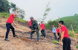 SEABank trao tặng gần 154.000 cây xanh ủng hộ trồng rừng và phát triển kinh tế tại Hà Tĩnh