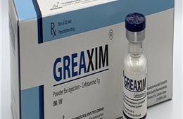 Thu hồi các lô thuốc bột pha tiêm Greaxim chưa được phép đã lưu hành