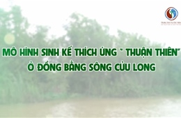 Mô hình sinh kế thích ứng &#39;thuận thiên&#39; ở Đồng bằng Sông Cửu Long