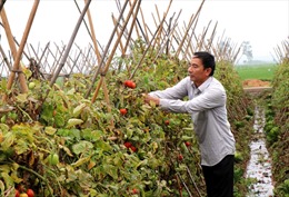 Hiệu quả từ Quỹ hỗ trợ nông dân ở Bắc Ninh