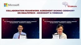Vinbrain và Microsoft Hoa Kỳ hợp tác phát triển trí tuệ nhân tạo trong y tế