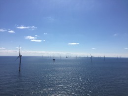 Triển vọng phát triển ngành điện gió ngoài khơi nhằm thúc đẩy kinh tế biển