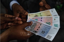 Zimbabwe ra mắt tiền giấy mới nhằm ổn định kinh tế