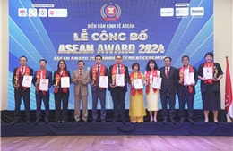 ‘Top 10 Doanh nghiệp Tiêu biểu ASEAN 2024’