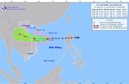 Áp thấp nhiệt đới sẽ mạnh lên thành bão, hướng về đất liền các tỉnh miền Trung 