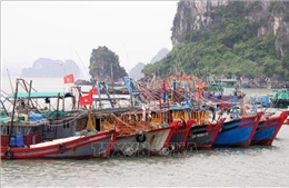 Quảng Ninh kiên quyết nói ‘không’ với tàu cá ‘3 không’