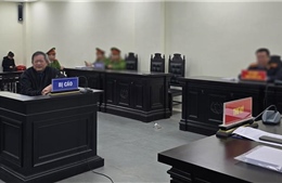 Y án sơ thẩm đối với bị cáo Trần Đình Triển