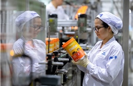 Vinamilk tung mới gần 20 sản phẩm trong quý đầu năm 2025