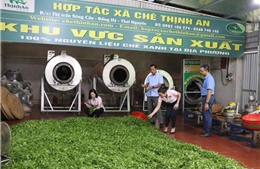 Tín dụng chính sách đồng hành ươm &#39;trái ngọt&#39; trên quê hương Thái Nguyên