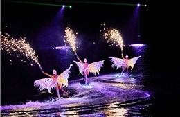 Show diễn 2 kỷ lục thế giới và hệ sinh thái du lịch chưa từng có tại Cát Bà