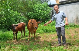 Tín dụng chính sách góp sức cho thành phố Phổ Yên bứt phá
