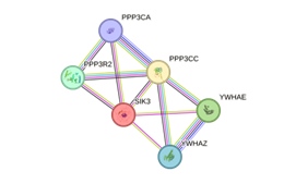 Phát hiện đột biến gene giúp con người sống khỏe với chỉ ngủ 3 giờ mỗi đêm