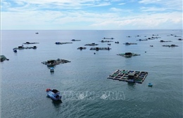 Phát triển kinh tế biển xanh cho Việt Nam - Lời khuyên từ chuyên gia