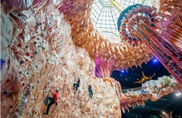 Những trò chơi cực phê tại Sun World Ba Na Hills mà không phải ai cũng biết