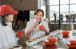 Tái định vị Robusta Việt: từ di sản bản địa đến chuẩn mực toàn cầu