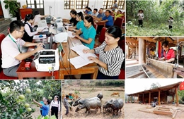Nghệ An tích cực khơi thông dòng chảy vốn tín dụng chính sách