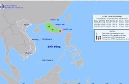 Các tỉnh, thành phố từ Quảng Ninh đến Đắk Lắk chủ động ứng phó với áp thấp nhiệt đới