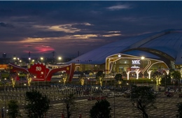 Triển lãm &#39;80 năm có một&#39; hé lộ những hình ảnh đầu tiên, nhà nhà lên lịch đi đu &#39;đại lễ quốc gia&#39;