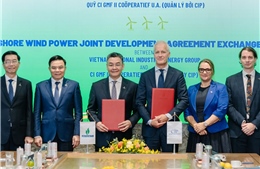 Hợp tác phát triển điện gió ngoài khơi