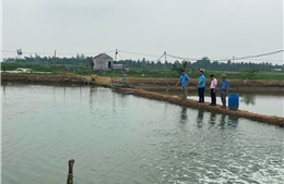 Tín dụng chính sách giúp đảm bảo an sinh xã hội ở Nghệ An