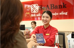 Nền tảng tài chính vững chắc, hiệu quả hoạt động cải thiện và triển vọng tăng trưởng bền vững