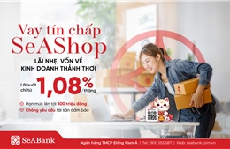 Ra mắt gói vay tín chấp SeAShop: Giải pháp vốn cho hộ kinh doanh