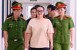 Hệ sinh thái Hoàng Hường vi phạm quy định về kế toán gây hậu quả nghiêm trọng