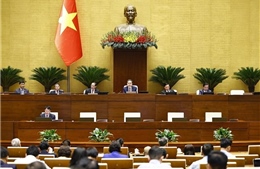 Quốc hội bầu Tổng thư ký và hai Chủ nhiệm Ủy ban