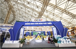 &#39;Sàn diễn&#39; khổng lồ của đặc sản vùng miền: Hành trình khám phá &#39;Việt Nam thu nhỏ&#39; giữa lòng VEC