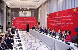 Việt Nam và Anh nâng cấp quan hệ lên Đối tác Chiến lược toàn diện, thúc đẩy hợp tác sâu rộng trong tài chính, thương mại và phát triển bền vững