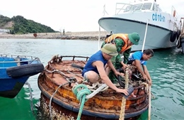 Quảng Ninh chủ động các phương án ứng phó với bão số 11