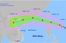 Quảng Ninh: Chủ động phòng, chống, ứng phó với siêu bão Ragasa