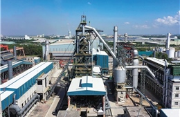 Vingroup hợp tác và hỗ trợ Pomina phát triển