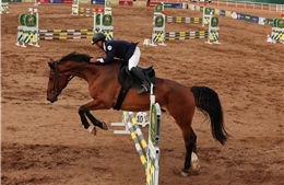 Vinpearl Equestrian Cup 2025: Bước đột phá của thể thao cưỡi ngựa Việt Nam