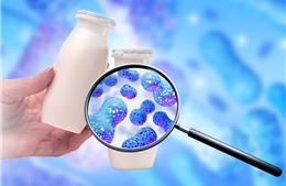 Trẻ biếng ăn phải làm sao? Nguyên nhân và dấu hiệu phổ biến cha mẹ hay bỏ qua