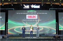 GELEX nổi bật tại bảng xếp hạng ALPHA30 Top 30 Tập đoàn Đầu tư Chiến lược Việt Nam năm 2025