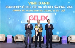 GELEX vinh dự là Doanh nghiệp có chiến lược M&A tiêu biểu 2024-2025
