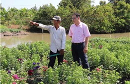 Dấu ấn 23 năm tín dụng chính sách An Giang đồng hành cùng người dân