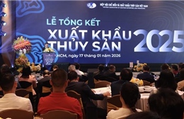 Xuất khẩu thuỷ sản tính đường dài sau kỷ lục 11,3 tỷ USD