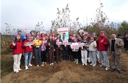 Khởi động mô hình xã thương mại điện tử ‘Bình Lư vươn mình’