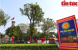 Chúc mừng Xuân Bính Ngọ